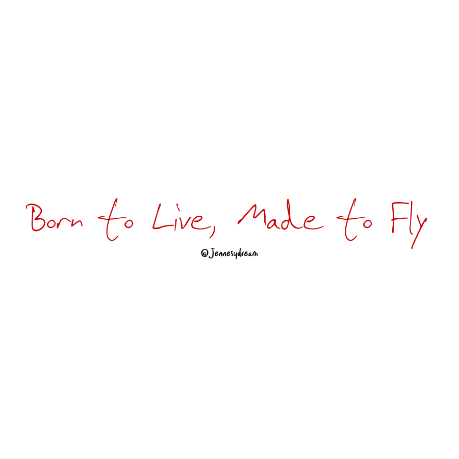 "Born to Live, Made to Fly" Sticker